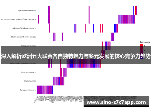深入解析欧洲五大联赛各自独特魅力与多元发展的核心竞争力趋势 深入解析欧洲五大联赛各自独特魅力与多元发展的核心竞争力趋势