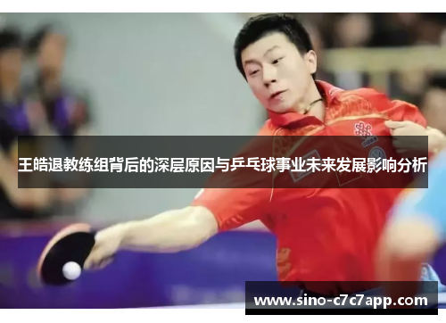 王皓退教练组背后的深层原因与乒乓球事业未来发展影响分析 王皓退教练组背后的深层原因与乒乓球事业未来发展影响分析